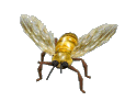 bee08.gif