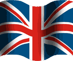 flagtutorial.gif