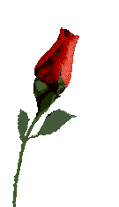 flowr013.gif